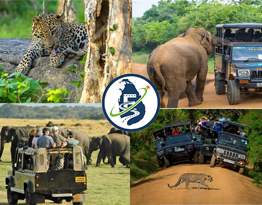 yala safari tour